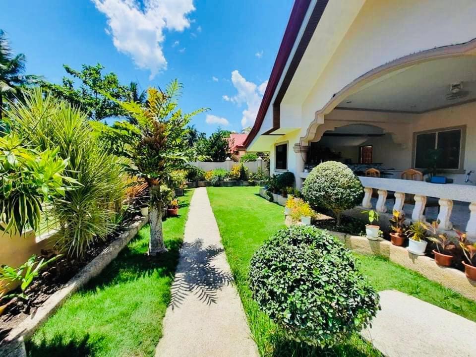 Dreamcatcher Hostel 몰볼 외부 사진